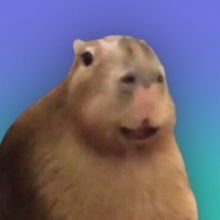 meltedvideos