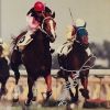 merrynice.nico