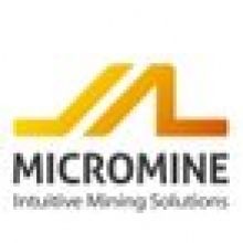 microminerus