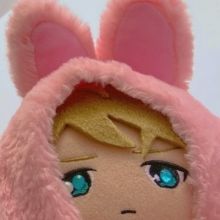 midobunny