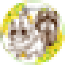 mikaktkr