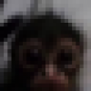 mikepapaswan