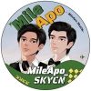 mileapo.skycn