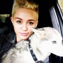 mileymontan