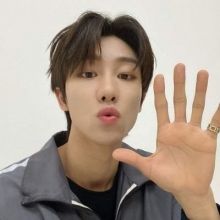 mimic.wozi