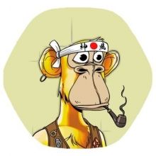 mingotiger
