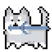 miso.kiccck