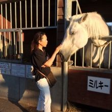 miyamotostable
