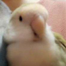 mmmluckymmm