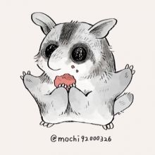 mochi92000326