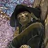 mokkoriknight