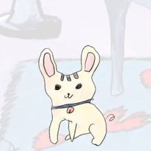 moominyoongis