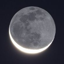 moonworld.jp