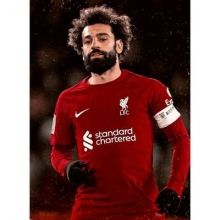 mosalah.mo11