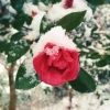 mrmry88