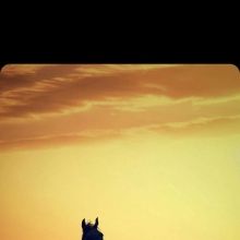 mrsaud122