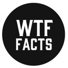 mrwtffacts