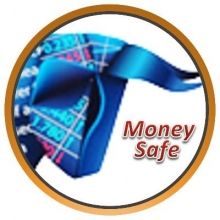 msafe369