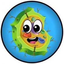 msciencia2