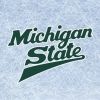 msu.h.h