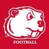 msubeaversfb