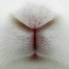 mura.chan
