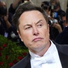 muskqu0tes