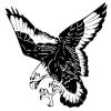mvad.hawks