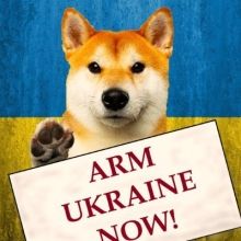 mykola65109280