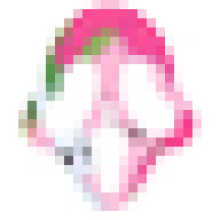 mymoolody