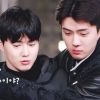 mysehohunho