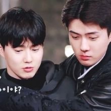 mysehohunho