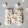 mzi80621534