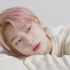 n0velora