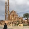 naderelsherif2