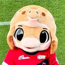 nagspo