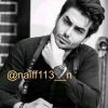 naiff113.n