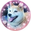 nanasyugu