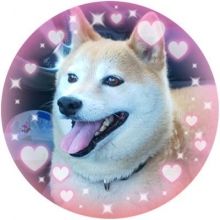 nanasyugu