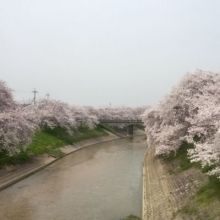 naonaka16