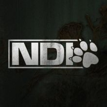 naughtydoginfo