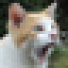 nekokamasu