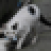 nekomoriyakai