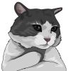 nekotaro69