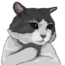 nekotaro69