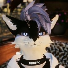 neonkpaw