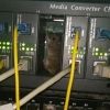 net.mouse.spb
