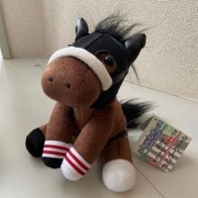 nexhorse