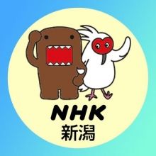 nhk.niigata