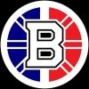 nhlbruinsfr